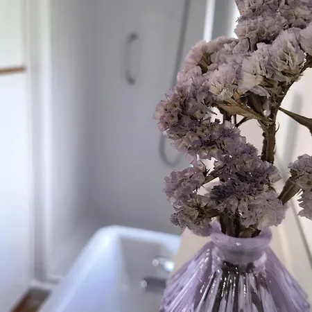 Casalola - Porto * Corme